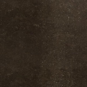 Tiles DBL Riser WP211 Coffee 30 X 17