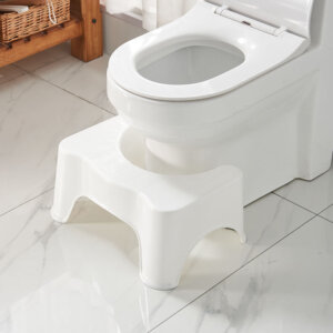 A1 Toilet Squatting Stool